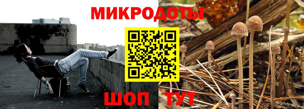 Псилоцибиновые грибы прущие грибы Курчалой